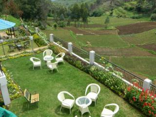 Mount N Mist Hotel Nainital Exteriör bild